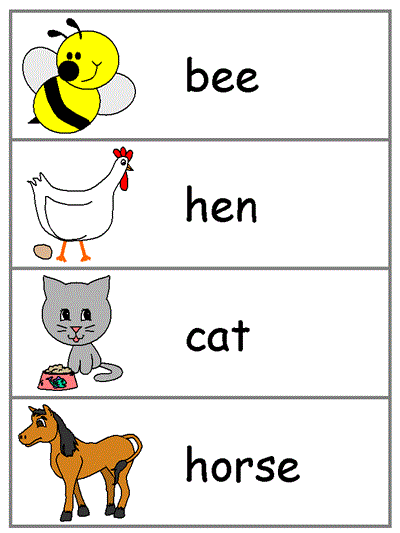 Word Wall Words