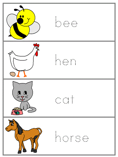 Word Wall Words