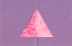 Triangle Stained Glass Craft