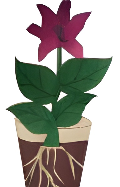 learn about plants